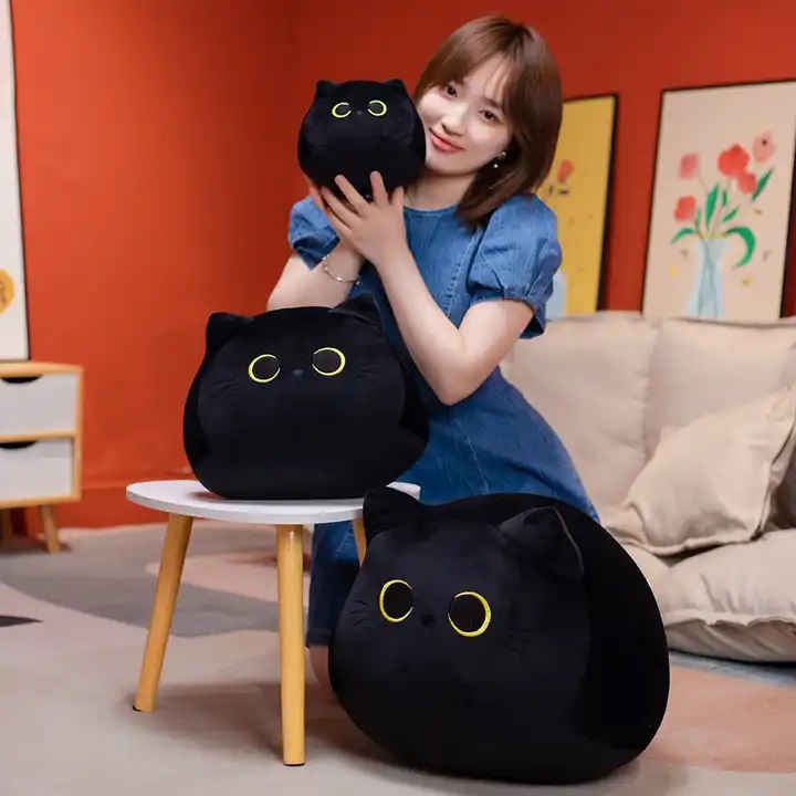 Black cat teddy online